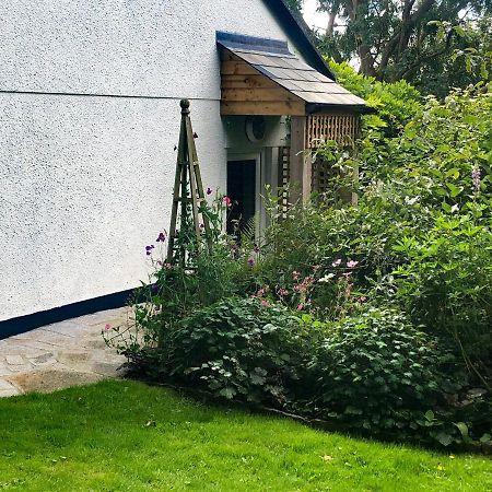 Willa Primrose End Bude Zewnętrze zdjęcie