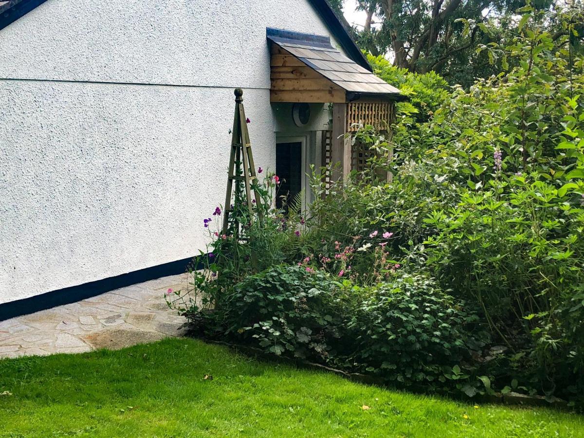 Willa Primrose End Bude Zewnętrze zdjęcie